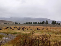0922231519b_HDR_Edited