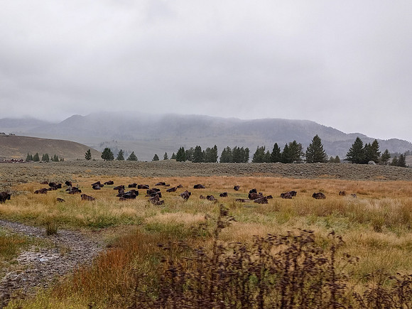 0922231519b_HDR_Edited