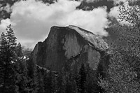 _DSC3712 bw